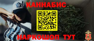 гидра Камышлов